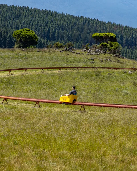 Long Tom Toboggan | Misty Mountain