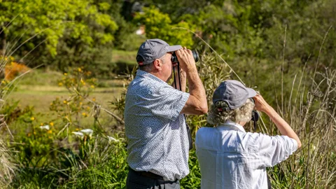 Walking Trails & Birding | Misty Mountain