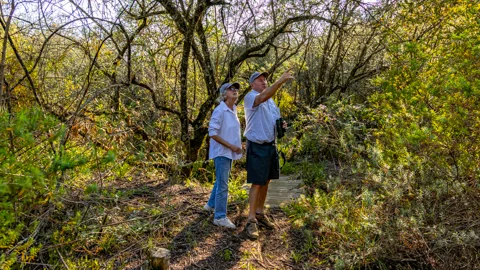 Walking Trails & Birding | Misty Mountain