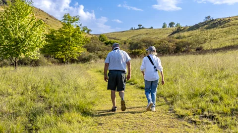 Walking Trails & Birding | Misty Mountain