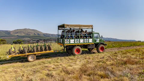 Long Tom Scootours | Misty Mountain