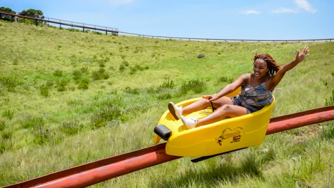 Long Tom Toboggan | Misty Mountain