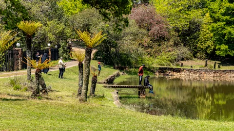 Gardens | Misty Mountain