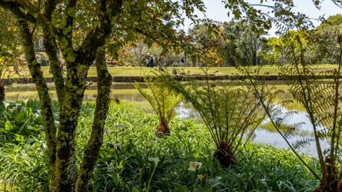Gardens | Misty Mountain