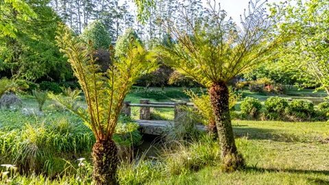 Gardens | Misty Mountain