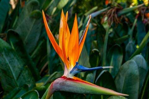 © The Guys - Professional Photographers & Designers - www.theguys.co.za